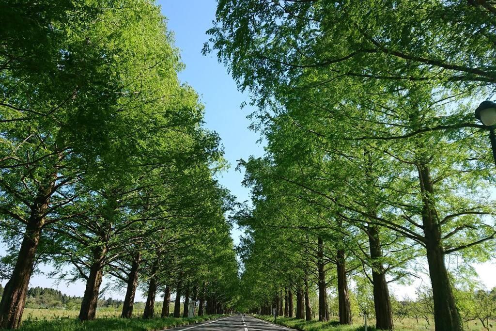 Farm Stay Inn Sanzaemon-Tei 母屋guesthouse Shiga-Takasima Traditional Japanese Architecture House Luaran gambar