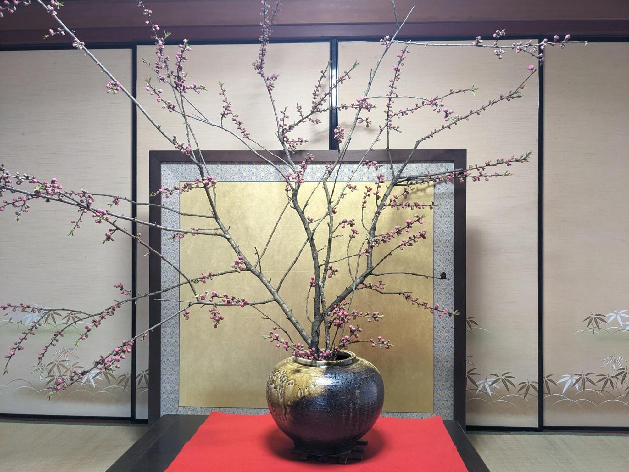 Farm Stay Inn Sanzaemon-Tei 母屋guesthouse Shiga-Takasima Traditional Japanese Architecture House Luaran gambar