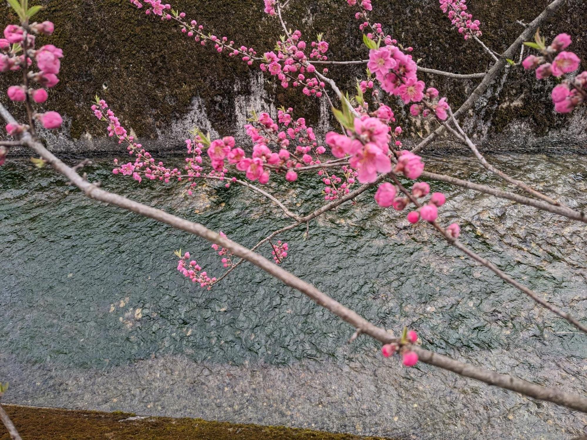 Farm Stay Inn Sanzaemon-Tei 母屋guesthouse Shiga-Takasima Traditional Japanese Architecture House Luaran gambar